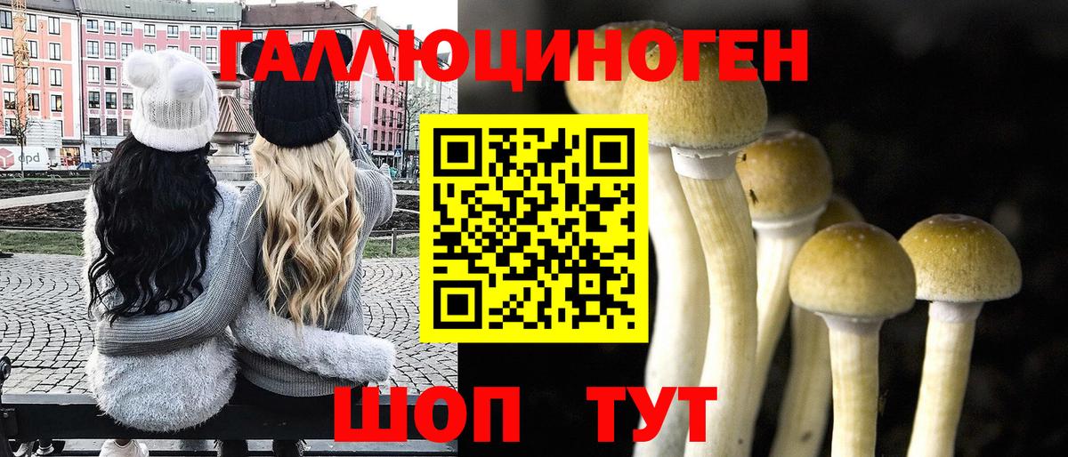 Псилоцибиновые грибы Psilocybe Добрянка