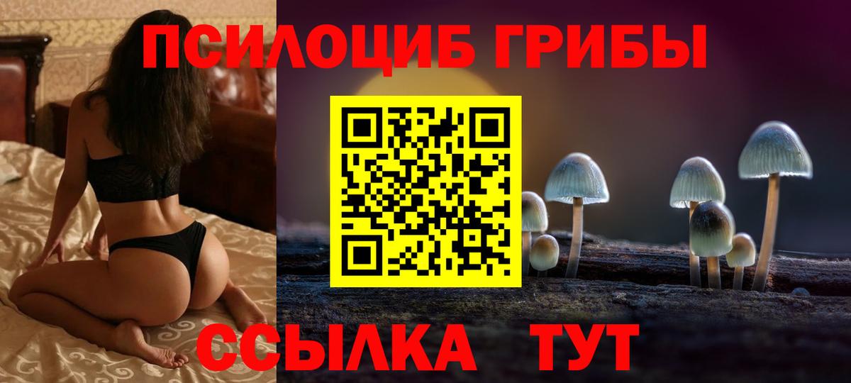 Галлюциногенные грибы Cubensis  где найти   Добрянка  Вход с VPN  Псилоцибиновые грибы Cubensis 